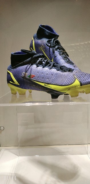 f:id:saburina2018:20221107181217j:image f:id:saburina2018:20221107181217j:image