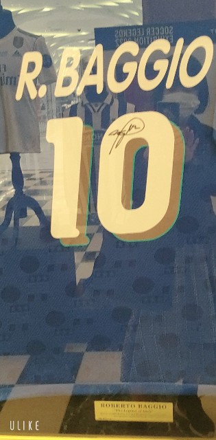 f:id:saburina2018:20221107181332j:image f:id:saburina2018:20221107181332j:image