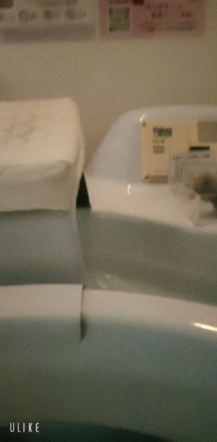 f:id:saburina2018:20221110153400j:image