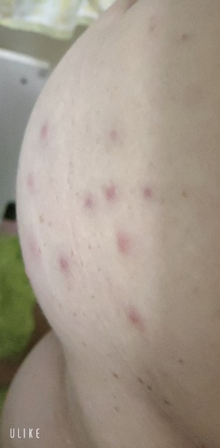 f:id:saburina2018:20221130234144j:image