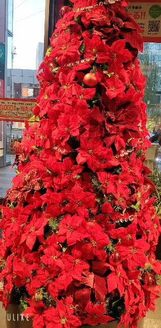 f:id:saburina2018:20221231005719j:image