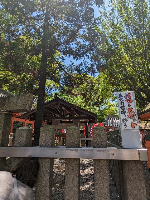 f:id:saburina2018:20240521155758j:image