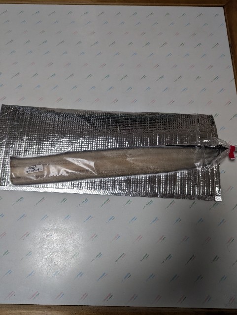 f:id:saburina2018:20241012155146j:image f:id:saburina2018:20241012155146j:image