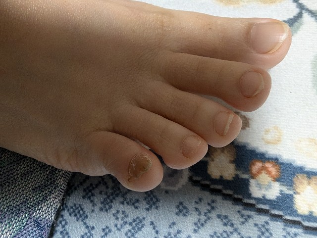 f:id:saburina2018:20241031155342j:image