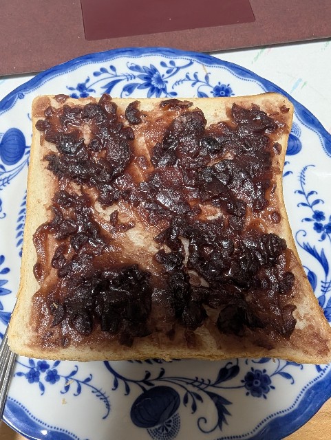 f:id:saburina2018:20250117154415j:image