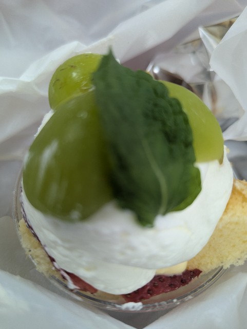 f:id:saburina2018:20250801205537j:image