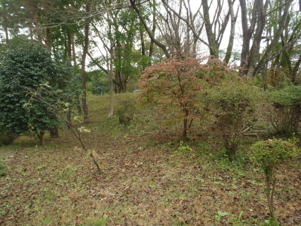 f:id:sabuyan1953:20161025214804j:plain