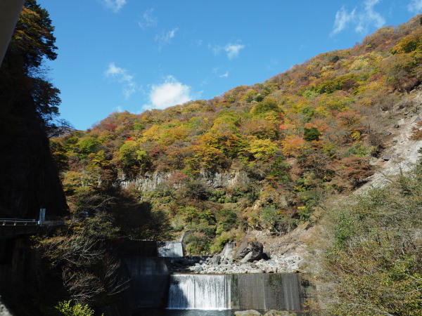 f:id:sabuyan1953:20161101213447j:plain f:id:sabuyan1953:20161101213447j:plain