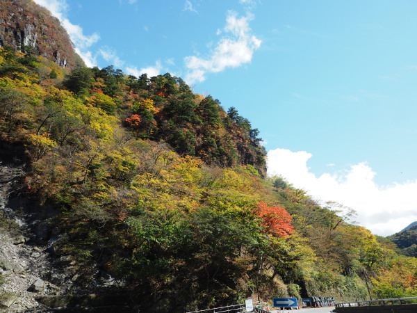 f:id:sabuyan1953:20161101213507j:plain f:id:sabuyan1953:20161101213507j:plain