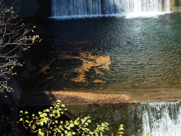 f:id:sabuyan1953:20161101213633j:plain f:id:sabuyan1953:20161101213633j:plain