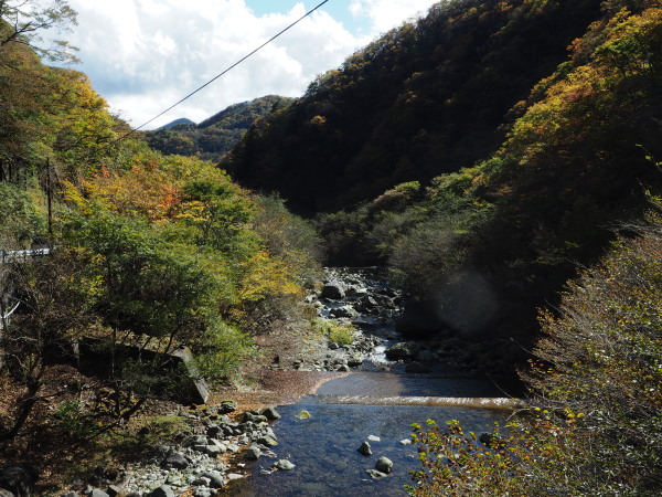 f:id:sabuyan1953:20161101213653j:plain f:id:sabuyan1953:20161101213653j:plain