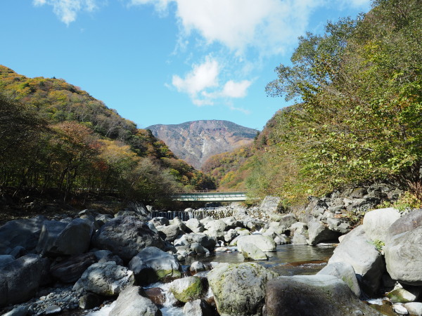 f:id:sabuyan1953:20161101213734j:plain f:id:sabuyan1953:20161101213734j:plain