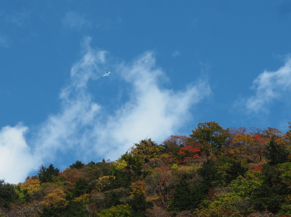 f:id:sabuyan1953:20161101213750j:plain f:id:sabuyan1953:20161101213750j:plain