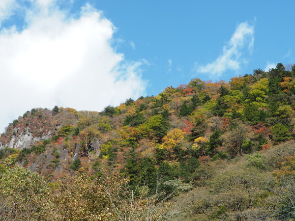 f:id:sabuyan1953:20161101213805j:plain f:id:sabuyan1953:20161101213805j:plain