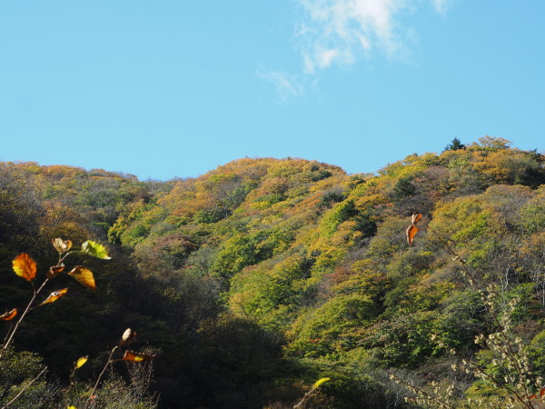 f:id:sabuyan1953:20161101213839j:plain f:id:sabuyan1953:20161101213839j:plain