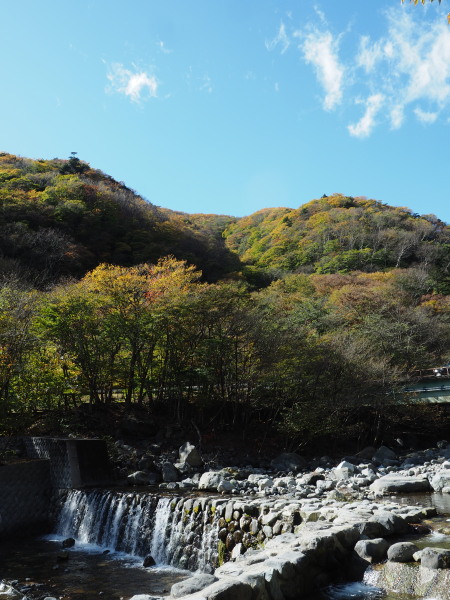 f:id:sabuyan1953:20161101213859j:plain f:id:sabuyan1953:20161101213859j:plain