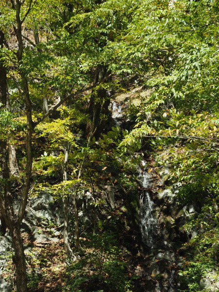 f:id:sabuyan1953:20161101214034j:plain f:id:sabuyan1953:20161101214034j:plain