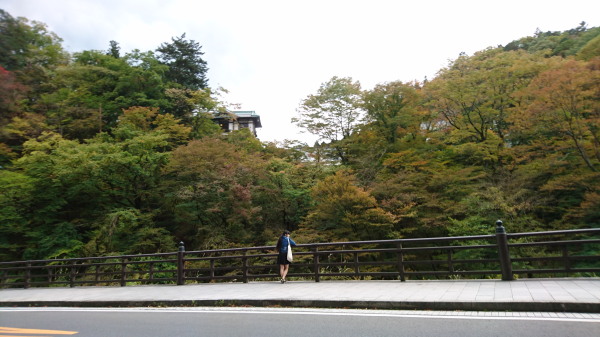 f:id:sabuyan1953:20161101214505j:plain f:id:sabuyan1953:20161101214505j:plain