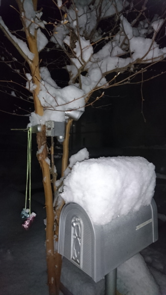 f:id:sabuyan1953:20180125104346j:plain