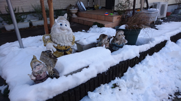 f:id:sabuyan1953:20180125104657j:plain