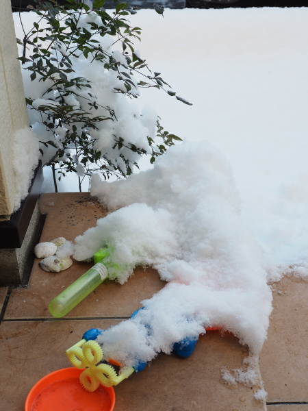 f:id:sabuyan1953:20180125105246j:plain