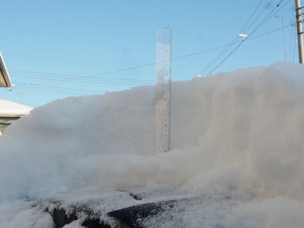 f:id:sabuyan1953:20180125105312j:plain