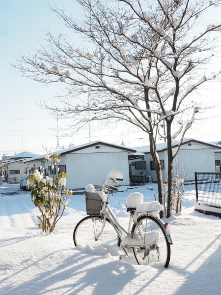 f:id:sabuyan1953:20180125105409j:plain