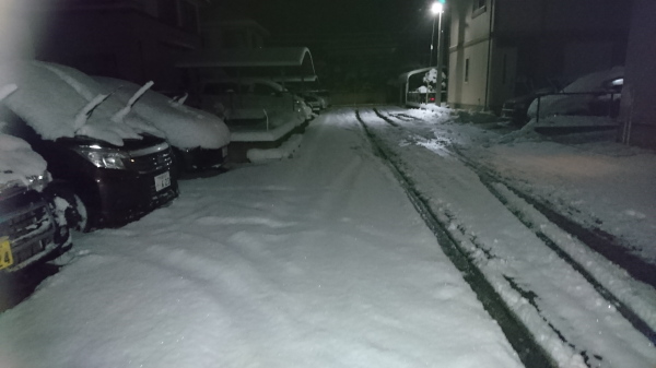 f:id:sabuyan1953:20180125135625j:plain