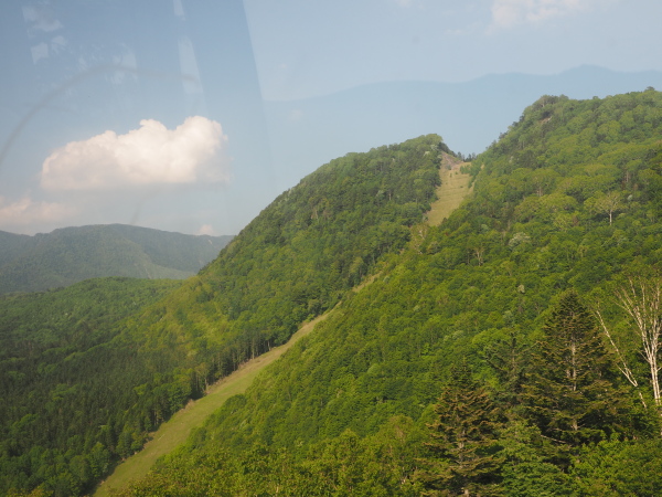 f:id:sabuyan1953:20180706210301j:plain f:id:sabuyan1953:20180706210301j:plain