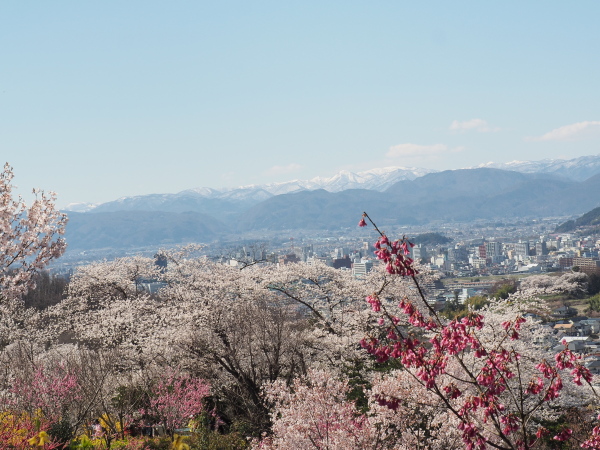 f:id:sabuyan1953:20190511100608j:plain f:id:sabuyan1953:20190511100608j:plain