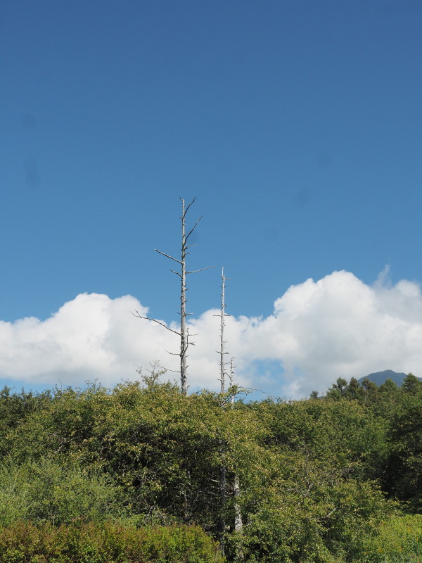 f:id:sabuyan1953:20190918155300j:plain f:id:sabuyan1953:20190918155300j:plain