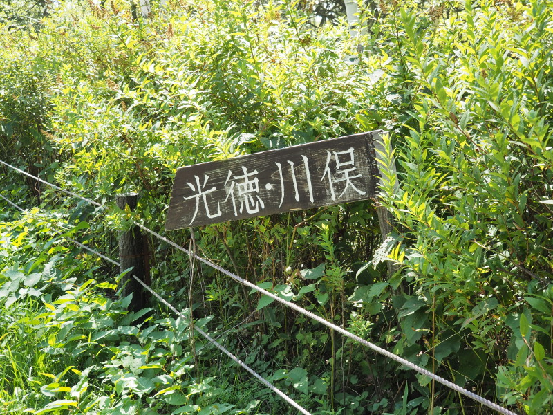 f:id:sabuyan1953:20190918163228j:plain f:id:sabuyan1953:20190918163228j:plain