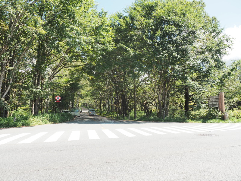 f:id:sabuyan1953:20190918163244j:plain f:id:sabuyan1953:20190918163244j:plain