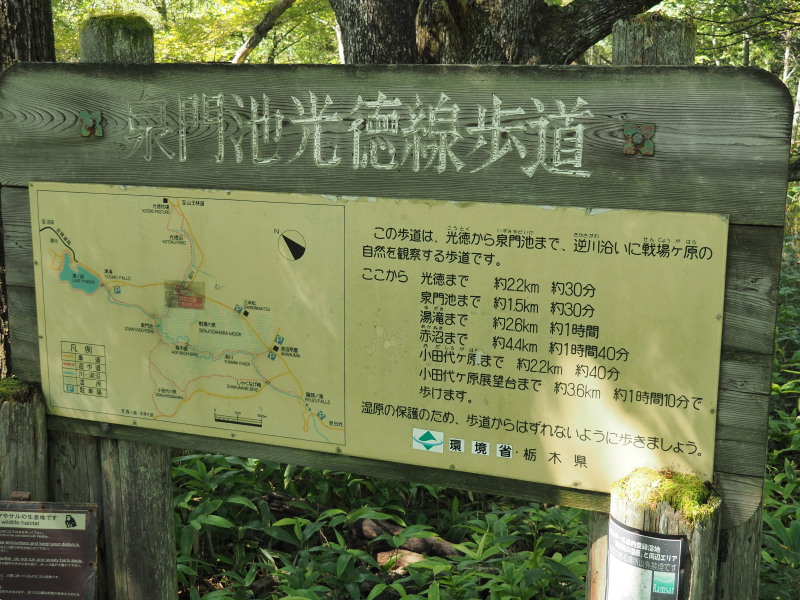 f:id:sabuyan1953:20190918163416j:plain f:id:sabuyan1953:20190918163416j:plain