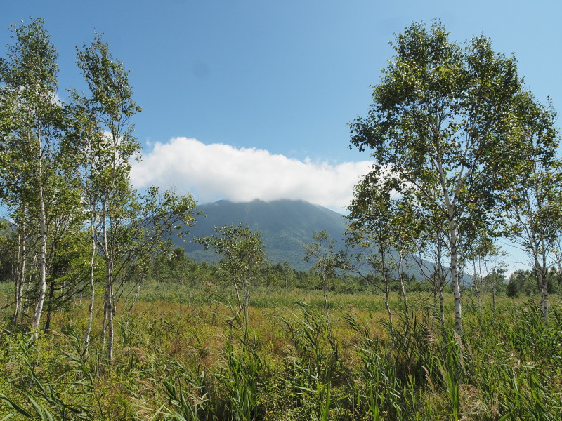 f:id:sabuyan1953:20190918182215j:plain f:id:sabuyan1953:20190918182215j:plain