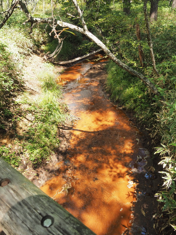 f:id:sabuyan1953:20190918204313j:plain f:id:sabuyan1953:20190918204313j:plain