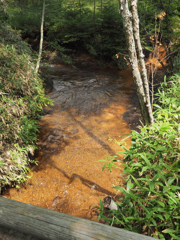 f:id:sabuyan1953:20190918204333j:plain f:id:sabuyan1953:20190918204333j:plain