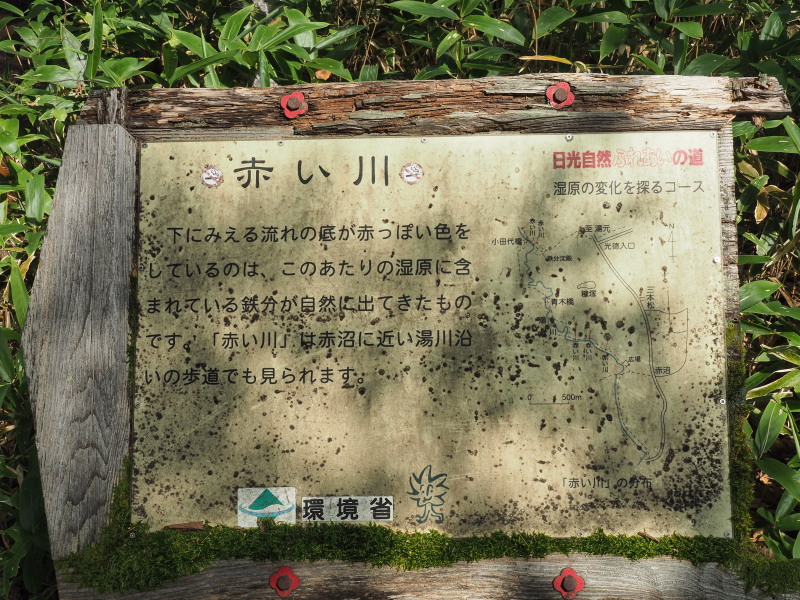 f:id:sabuyan1953:20190918204347j:plain f:id:sabuyan1953:20190918204347j:plain