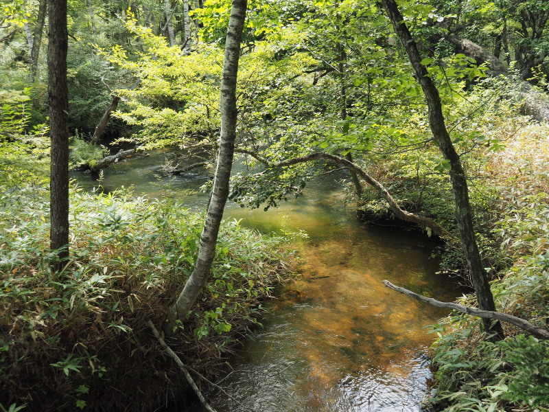 f:id:sabuyan1953:20190918204452j:plain f:id:sabuyan1953:20190918204452j:plain