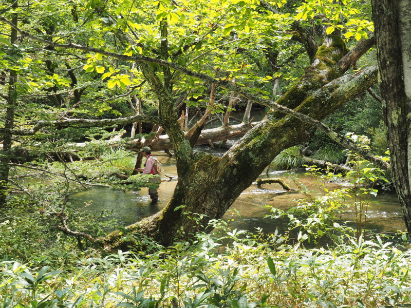 f:id:sabuyan1953:20190918204519j:plain f:id:sabuyan1953:20190918204519j:plain