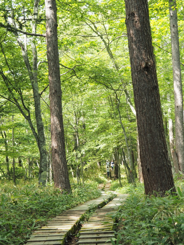 f:id:sabuyan1953:20190918204608j:plain f:id:sabuyan1953:20190918204608j:plain