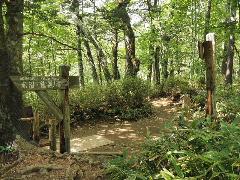 f:id:sabuyan1953:20190918204711j:plain f:id:sabuyan1953:20190918204711j:plain