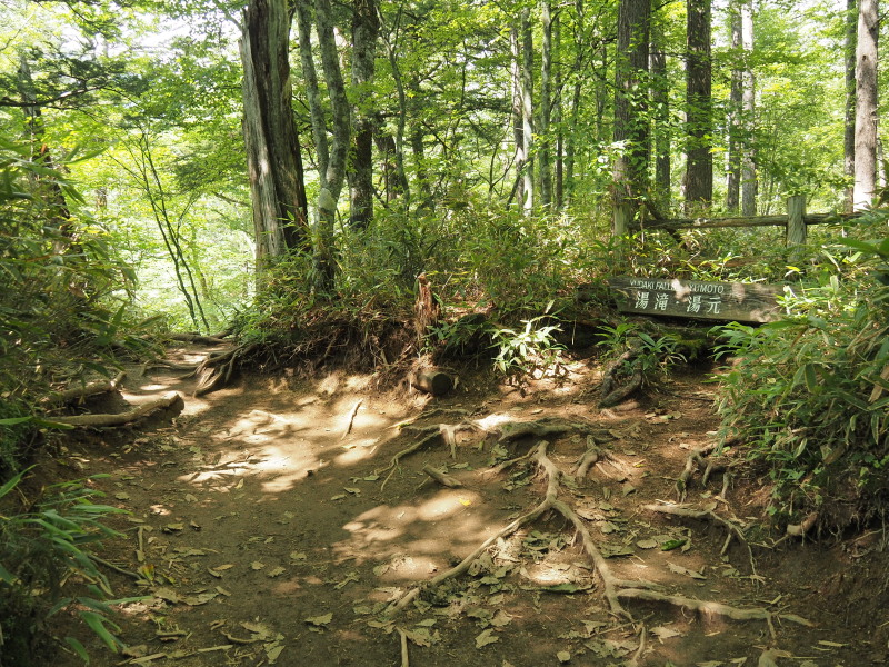 f:id:sabuyan1953:20190918204737j:plain f:id:sabuyan1953:20190918204737j:plain