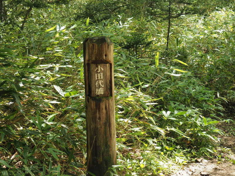 f:id:sabuyan1953:20190918223829j:plain f:id:sabuyan1953:20190918223829j:plain