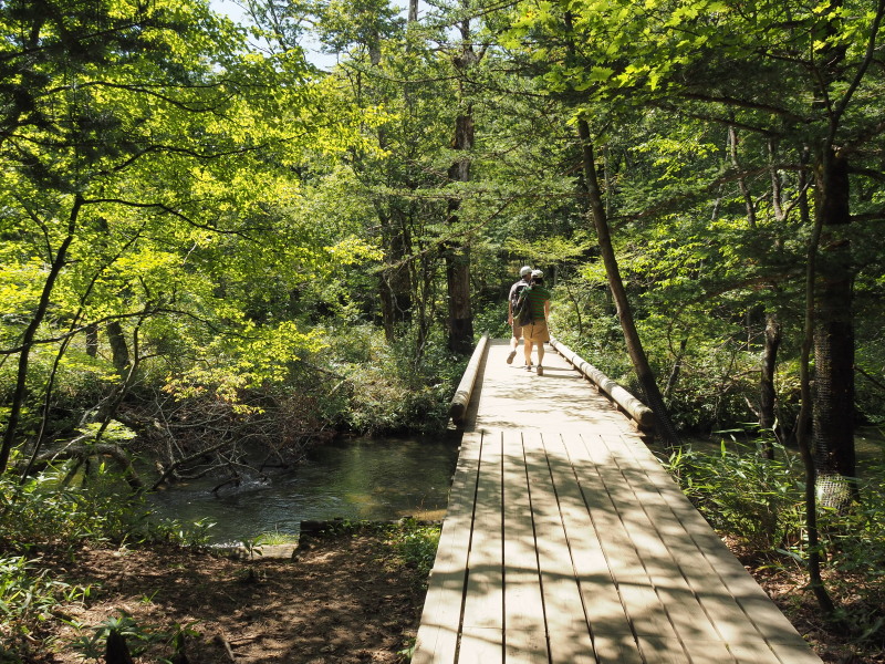 f:id:sabuyan1953:20190918223849j:plain f:id:sabuyan1953:20190918223849j:plain