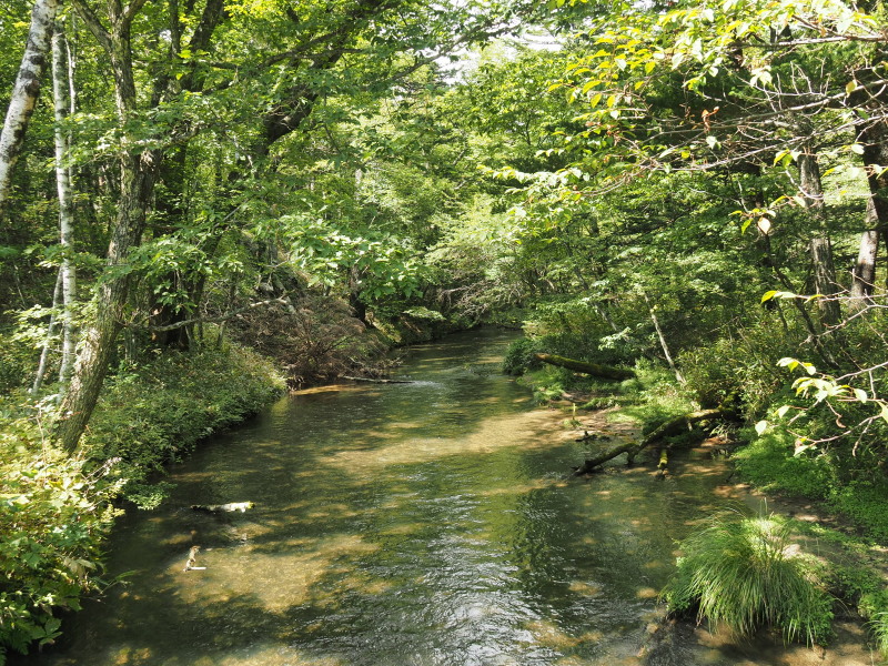 f:id:sabuyan1953:20190918223909j:plain f:id:sabuyan1953:20190918223909j:plain