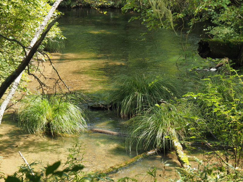 f:id:sabuyan1953:20190918223931j:plain f:id:sabuyan1953:20190918223931j:plain