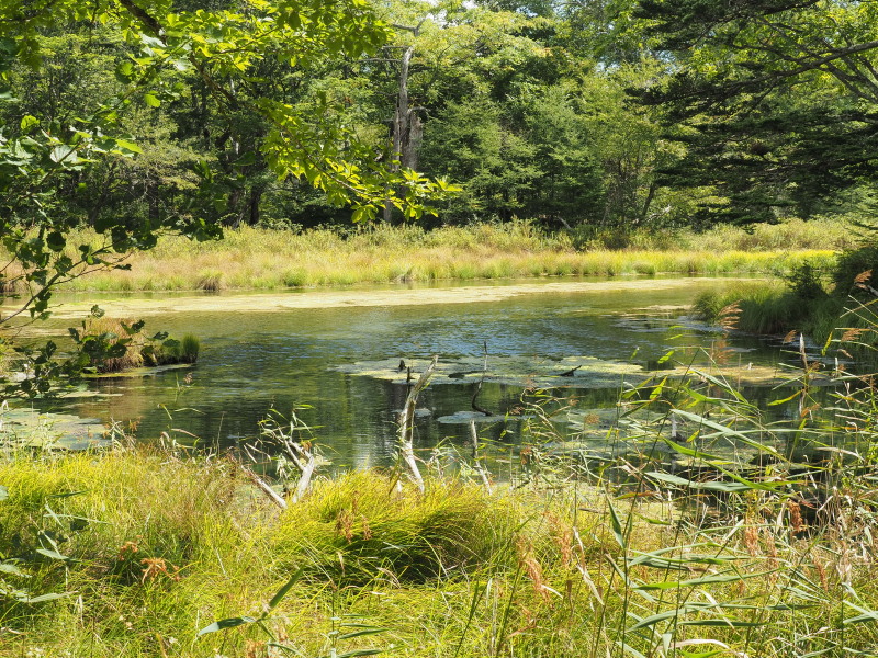 f:id:sabuyan1953:20190918223955j:plain f:id:sabuyan1953:20190918223955j:plain