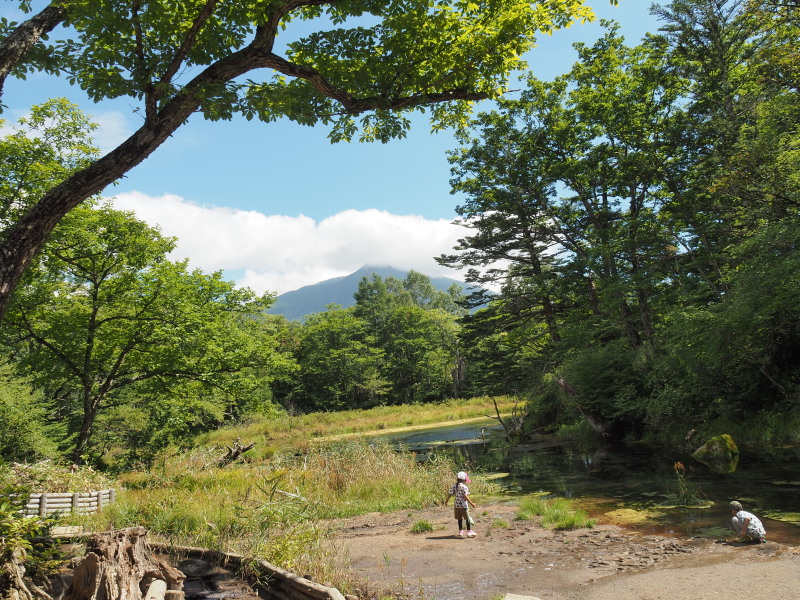 f:id:sabuyan1953:20190918224029j:plain f:id:sabuyan1953:20190918224029j:plain