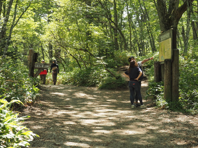 f:id:sabuyan1953:20190918224119j:plain f:id:sabuyan1953:20190918224119j:plain